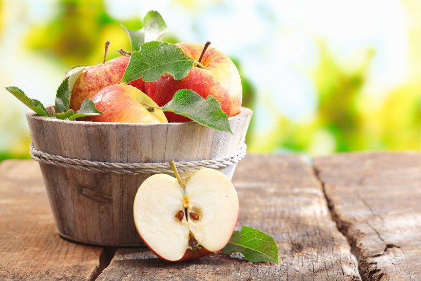 Äpfel gelten als wahre Vitaminbomben.