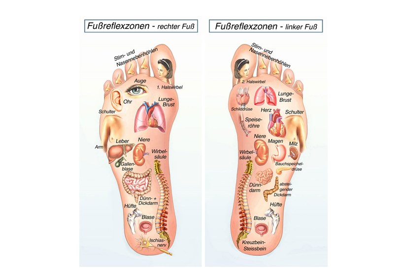 Die Fußreflexzonen können nicht nur durch eine Massage stimuliert werden, sondern auch durch Barfußlaufen, insbesondere über sogenannte Sinnespfade