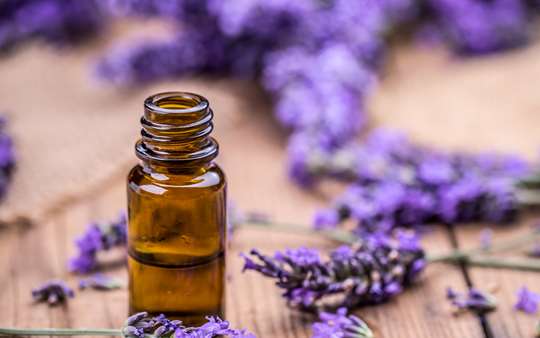 Aromatherapie in der Pflege - die Wirkung ätherischer Öle