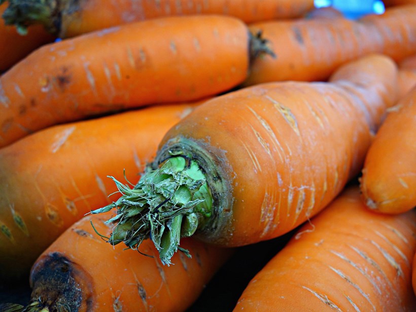 Karotte-gesunde Lebensmittel