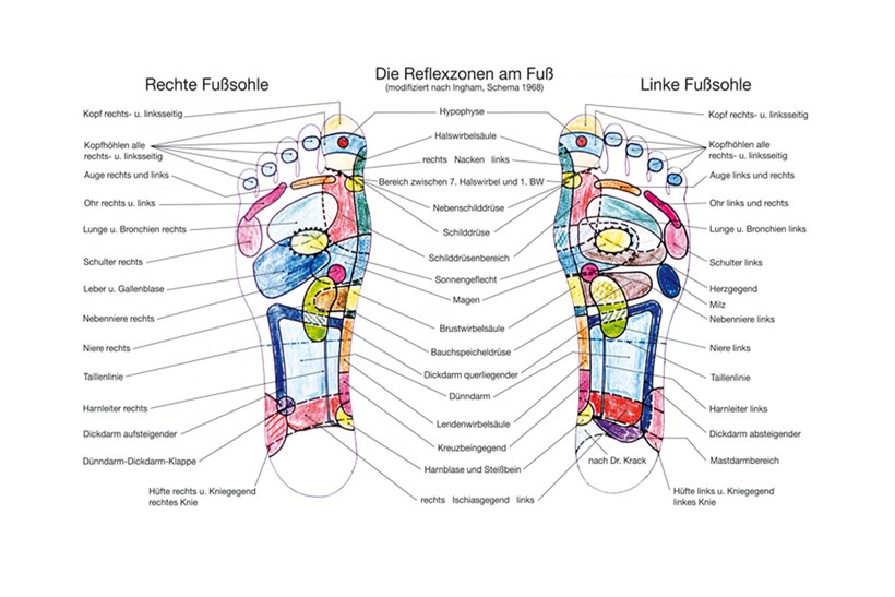 Die Füße spiegeln die verschiedenen Organe, Extremitäten, Muskeln und Gelenke wider.