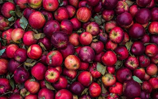 6 wissenschaftlich erwiesene Geheimnisse des Apfelessigs